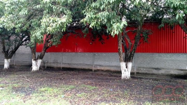 Depósito-Galpão, 600 m² - Foto 8