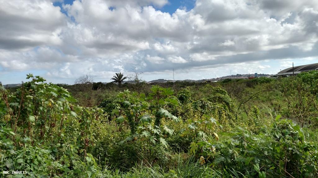 Terreno, 215 hectares - Foto 3