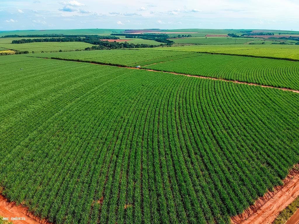 Terreno, 215 hectares - Foto 1