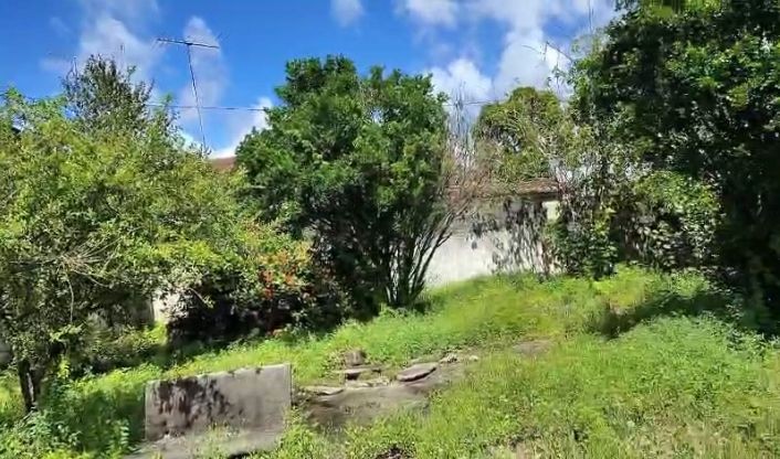 Casa, 4 quartos, 180 m² - Foto 4