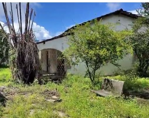 Casa, 4 quartos, 180 m² - Foto 6