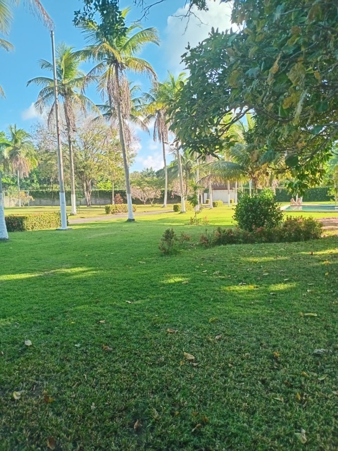 Terreno, 5 hectares - Foto 2