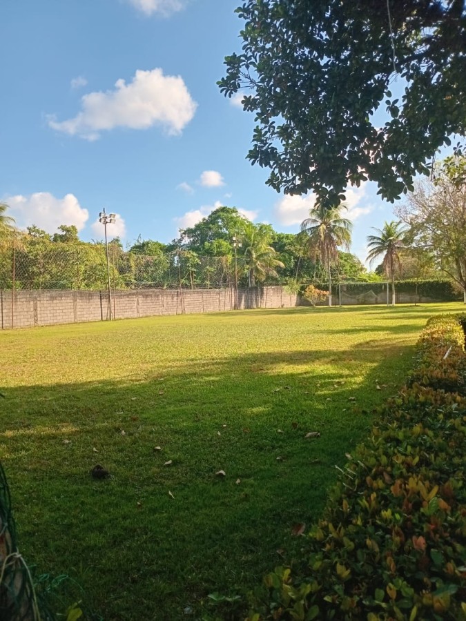 Terreno, 5 hectares - Foto 4