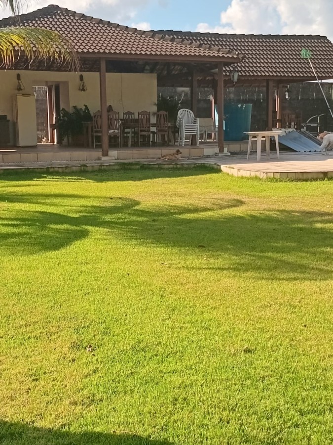 Terreno, 5 hectares - Foto 7