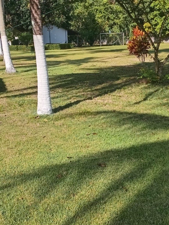 Terreno, 5 hectares - Foto 9