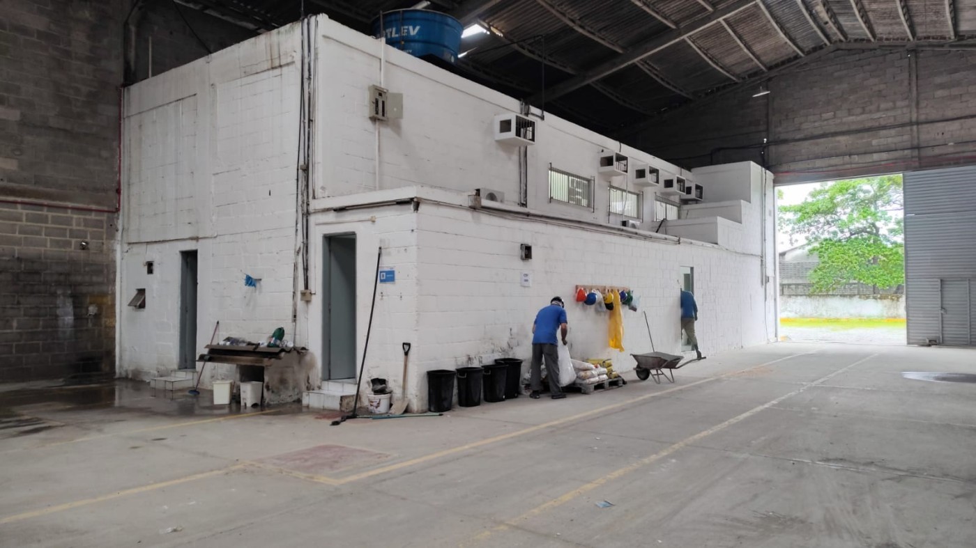 Depósito-Galpão, 2500 m² - Foto 5