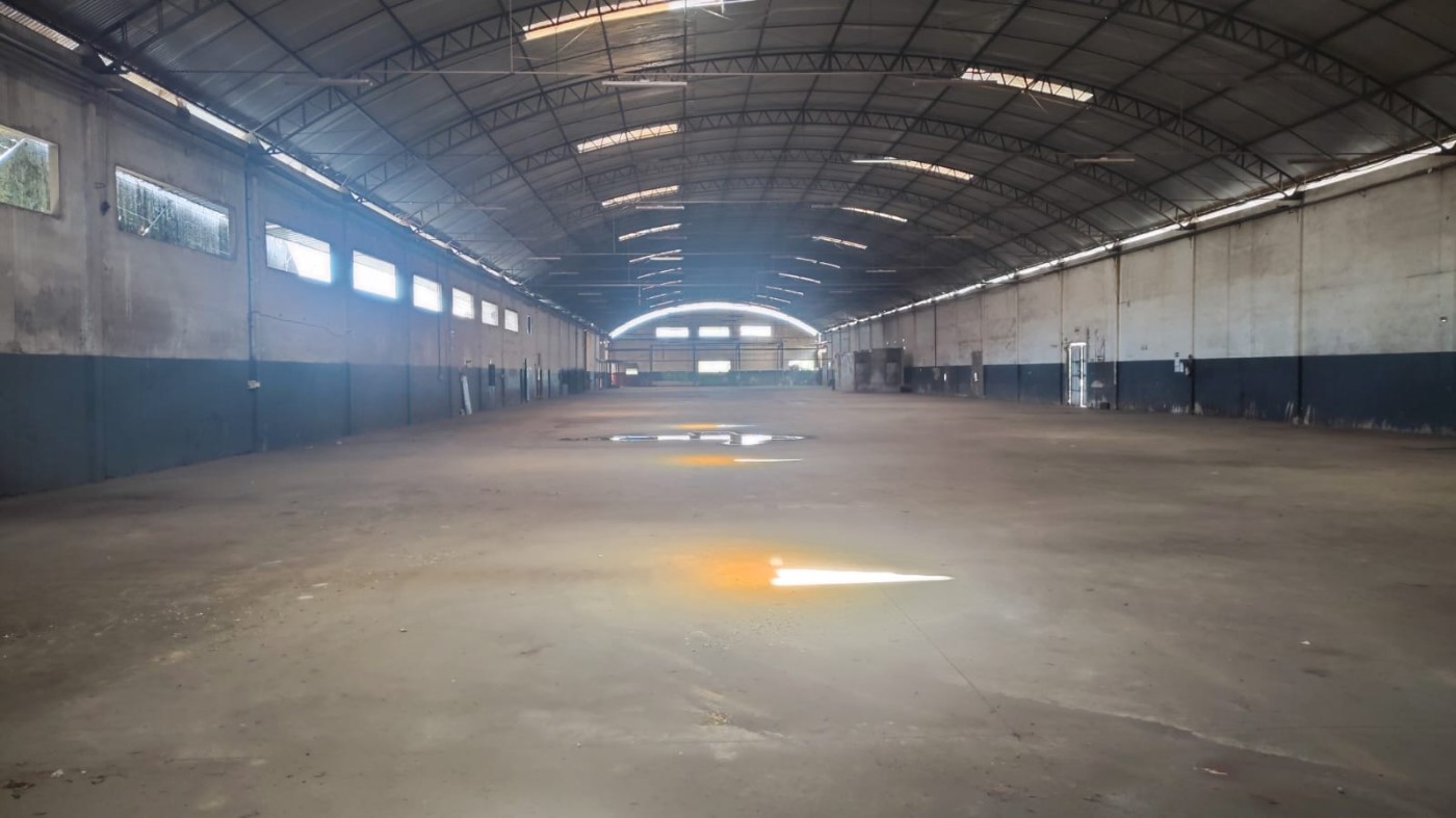 Depósito-Galpão, 4000 m² - Foto 2
